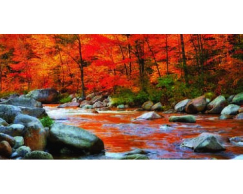 Desk Calendar DC11